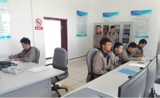 晶澳巴林右旗100MW光伏电站成功并网发电，信息系统运行维护服务保驾护航